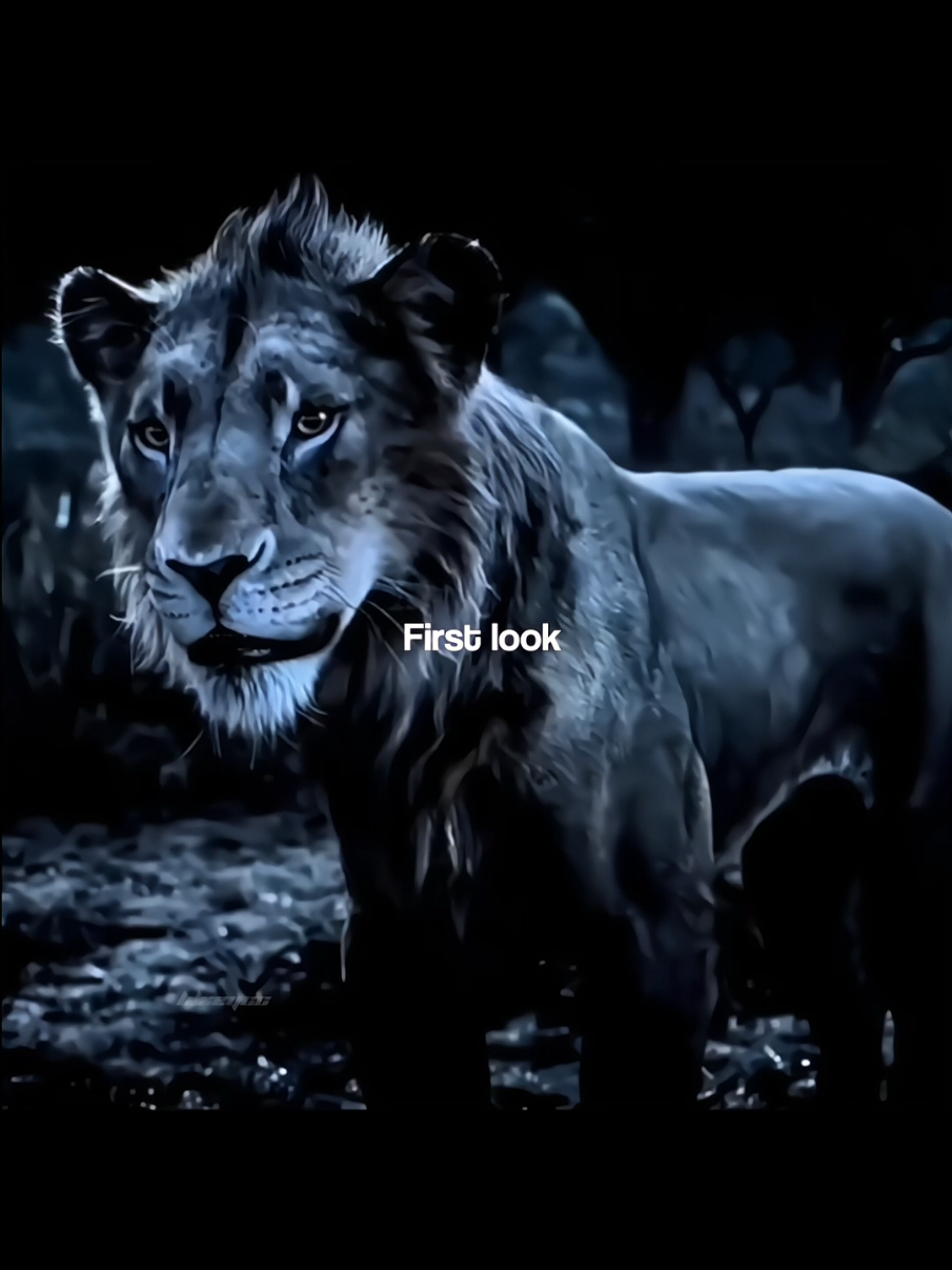 His expression says everything #mufasa #thelionking #mufasathelionking #taka #scar #sarabi #kiros #tlk #disney #thelionking #edit #fyp #foryoupage #viral #foryou #fy 