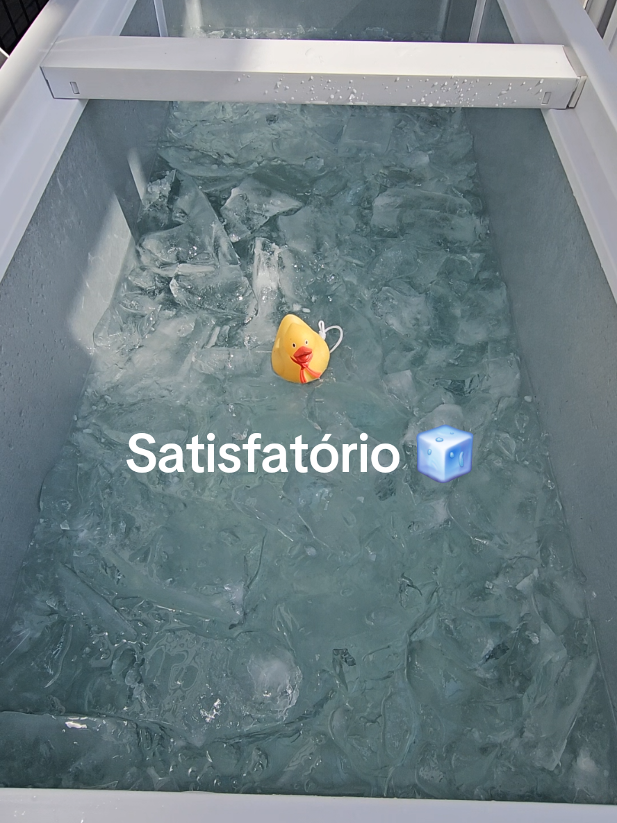 Quebrando o gelo 🧊  04.01.2025 #banheiradegelo #icebath #foryou 