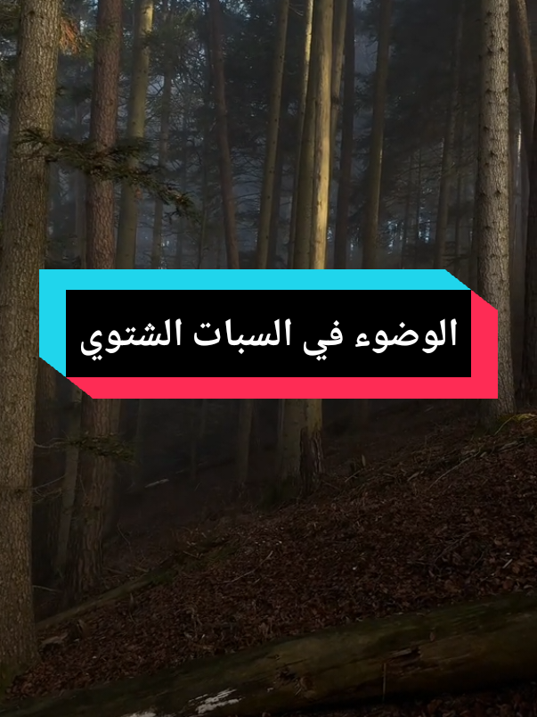 الوضوء ْ #القران_الكريم #نامق_مصطفى #الوضوء  ْ #ابو_مهند🌵 