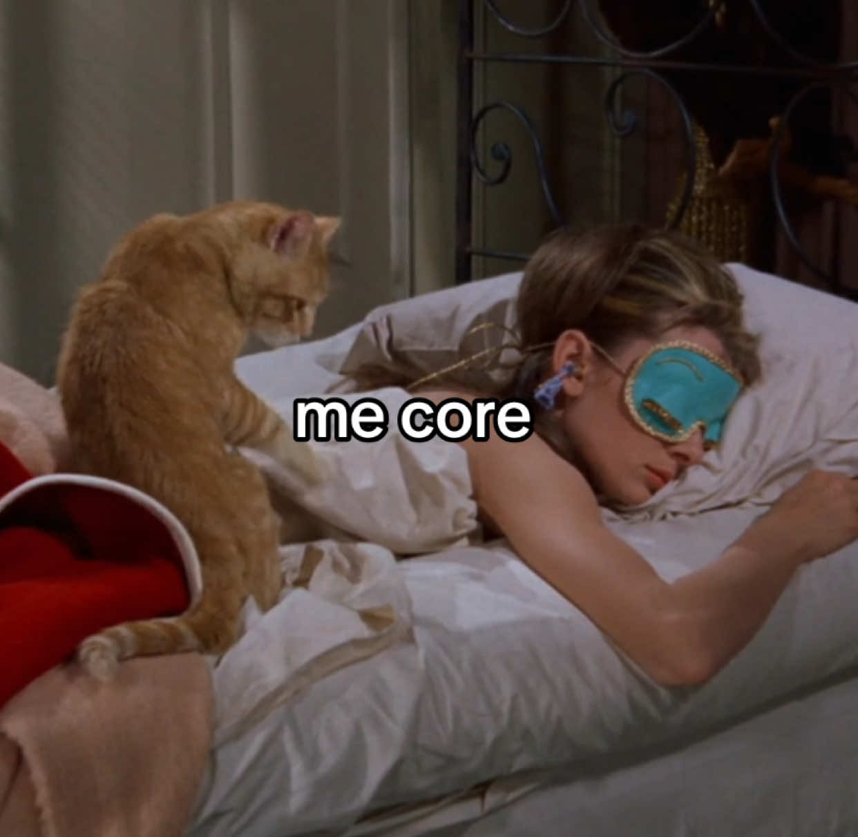 💤 #cinema #breakfastattiffanys #audreyhepburn #catsoftiktok #orangecat #mecore #girlhood #sleep