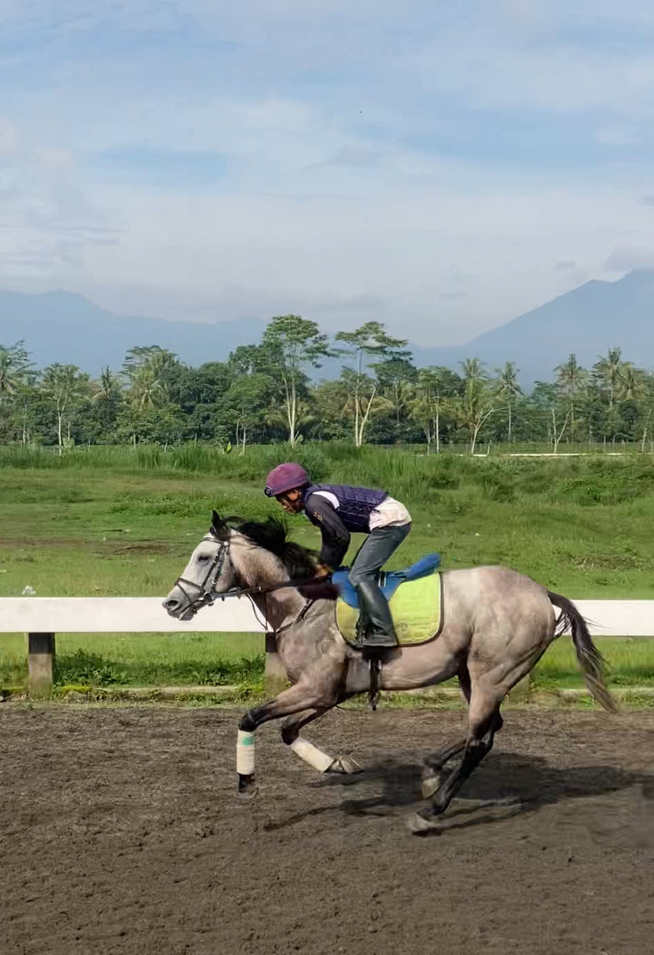 Latihan persiapan 12 januari A.E kawilarang memorial cup 2025 🏆🏆 #mahadana_stable #mahadanastable #sarga #sargaco #pacuankuda #tegalwaton #pordasi #ihrc 