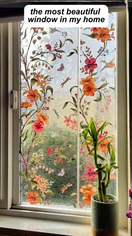 La ventanas se miran muy hermosas de afuera y de adentro con este papel y es un papel sin pegamento. #windowstickers #decorativesticker #homedecor #decoraciones #papelparaventanas #decoraciondeinteriores #cosasparalacasa #ventanas #tiktokshopholidayhaul #newyearnewaura 