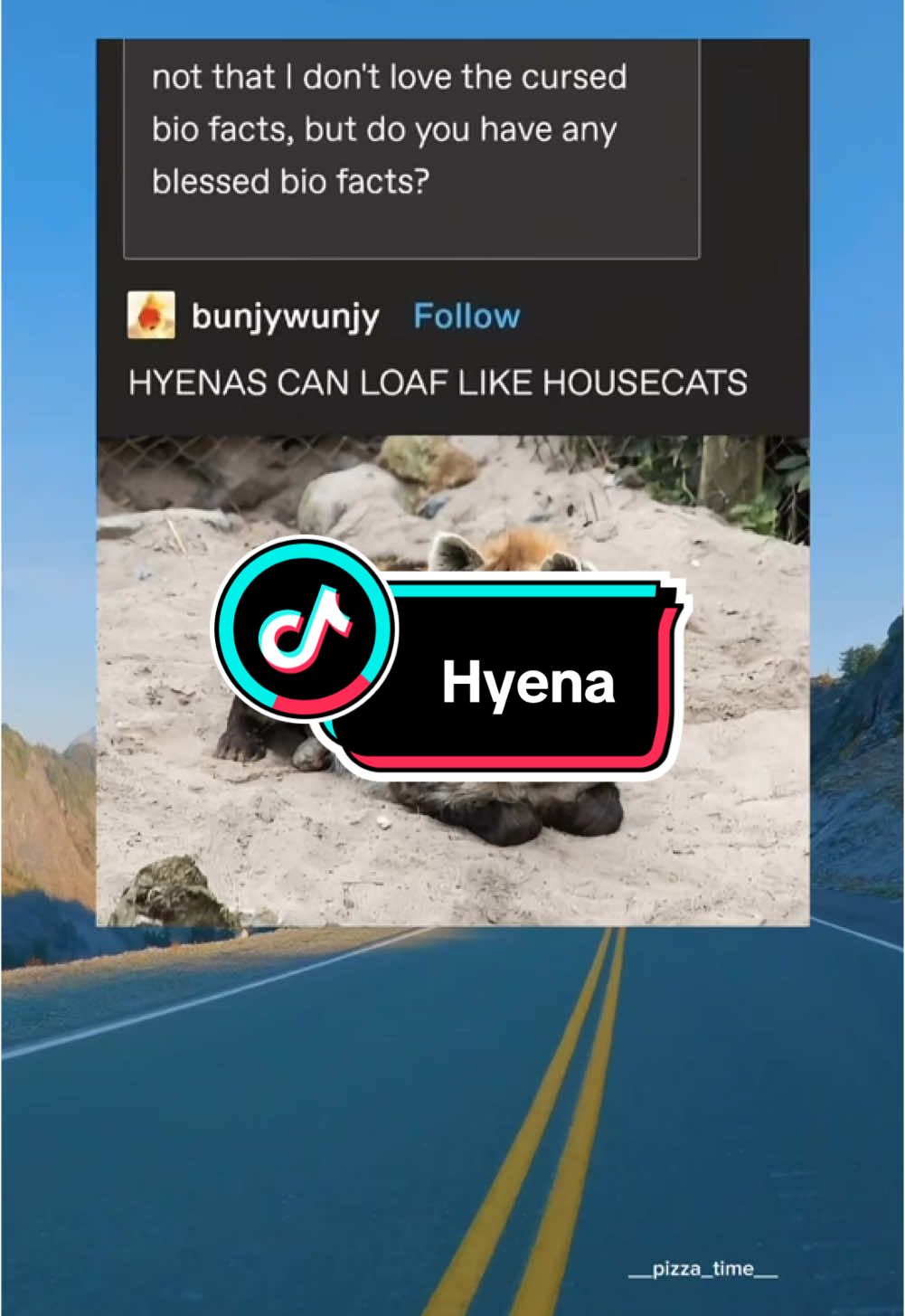 Funny Posts: Hyena #funny #post #meme #memes #funnymoments #laugh #viral #tiktok #tumblr #fyp #hyena #animals #animalsoftiktok #cute #humor #joke #jokes #laughing #fypシ #fypシ゚viral #cat #funnyvideo 