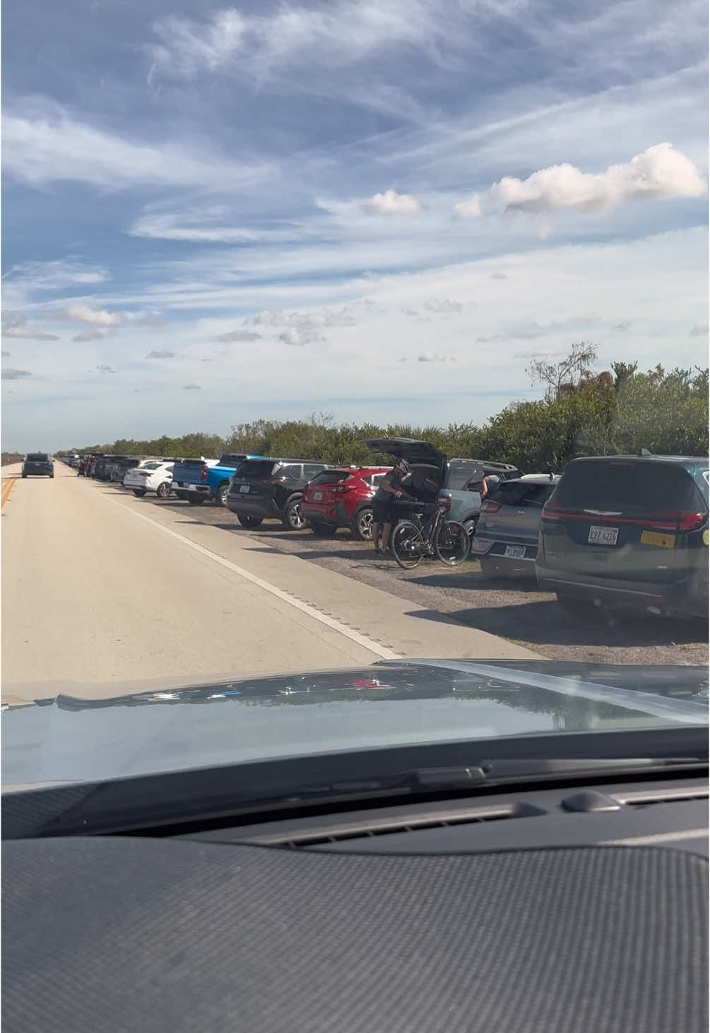 Tourist season is here 😳 #realflorida #alligator #birds #everglades #sharkvalley #winter #wildlife @National Park Service 