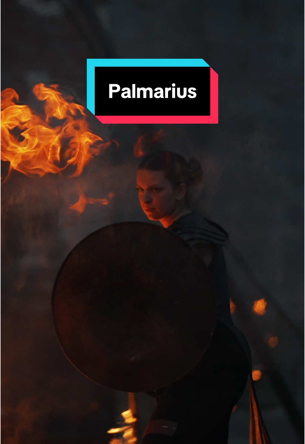 1 min summary of our show called Palmarius in honour of the most epic classical musics and compositors! #palmarius #fireperformer #fireshow #violin #violonist #charcoal #flamethrower #juggler #fire #partner #flow #dancer #danceawesome #firedance #pyro #pyrography #carolofthebells #lindseystirling #firedress #mozart #verdi #classicalmusic #aerial 