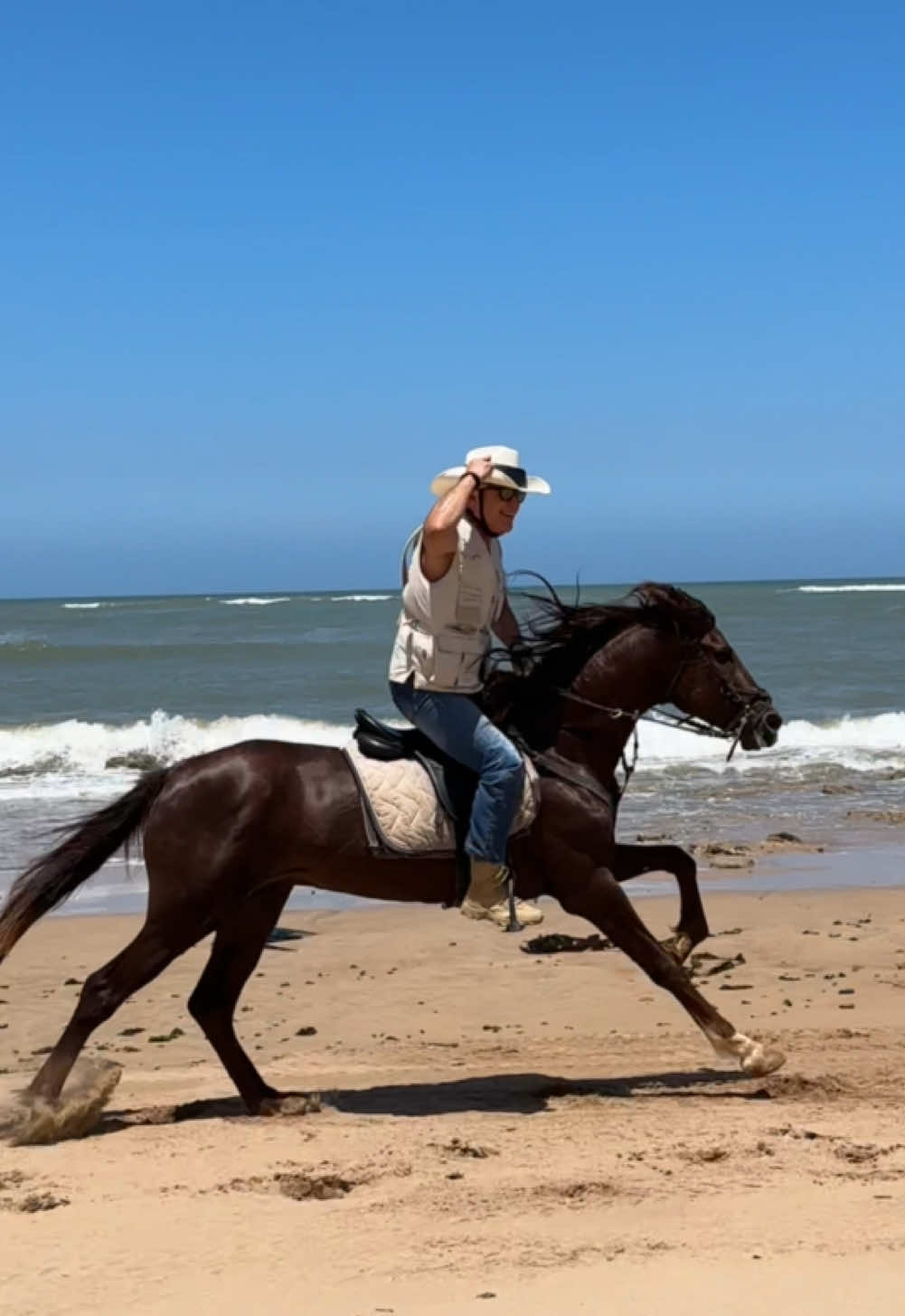 Cause this is Africa 🇲🇦 👉🏼 We are a Travel Agency based in Essaouira (Morocco). Join us for an unforgettable horseride holidays. Ride the best horses in town, and meet the best team of riders.  . . . . . . #horses #horsesoftiktok #horse #horsetok #equestrian #fyp #cheval #fypage #viral #viralvideo #pferd #horsesontiktok #лошадь #horselove #essaouira #morocco #lovak #caballos #cavalli #africa 