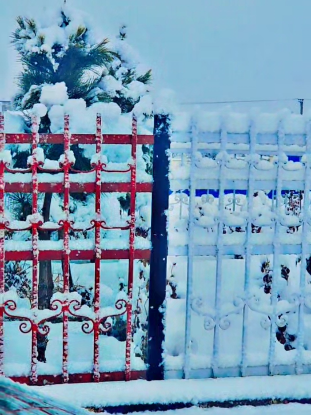 برف در جاده های شهر پل علم مرکز ولایت لوگر 🌨️🌨️🌨️ #لوگر_جان_وطنم🇦🇫  #اففانستان  #fypシ゚viral  #fypシ゚vi 