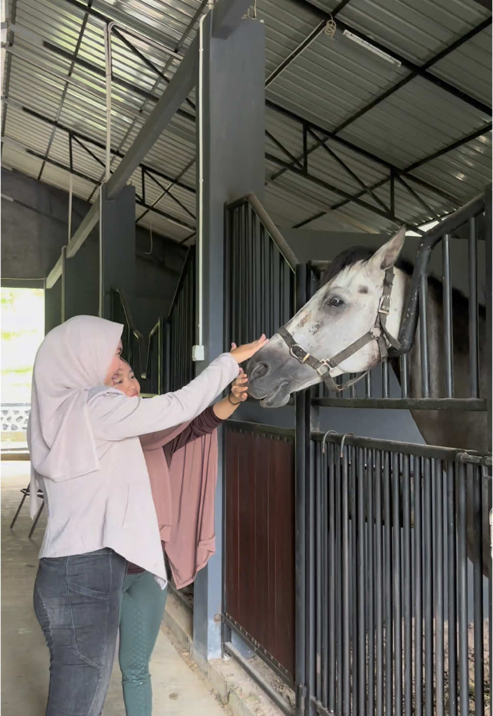 A day at gifta garden 🐴 #giftagardenbalikppn #equestrian #borneoberkudastable 