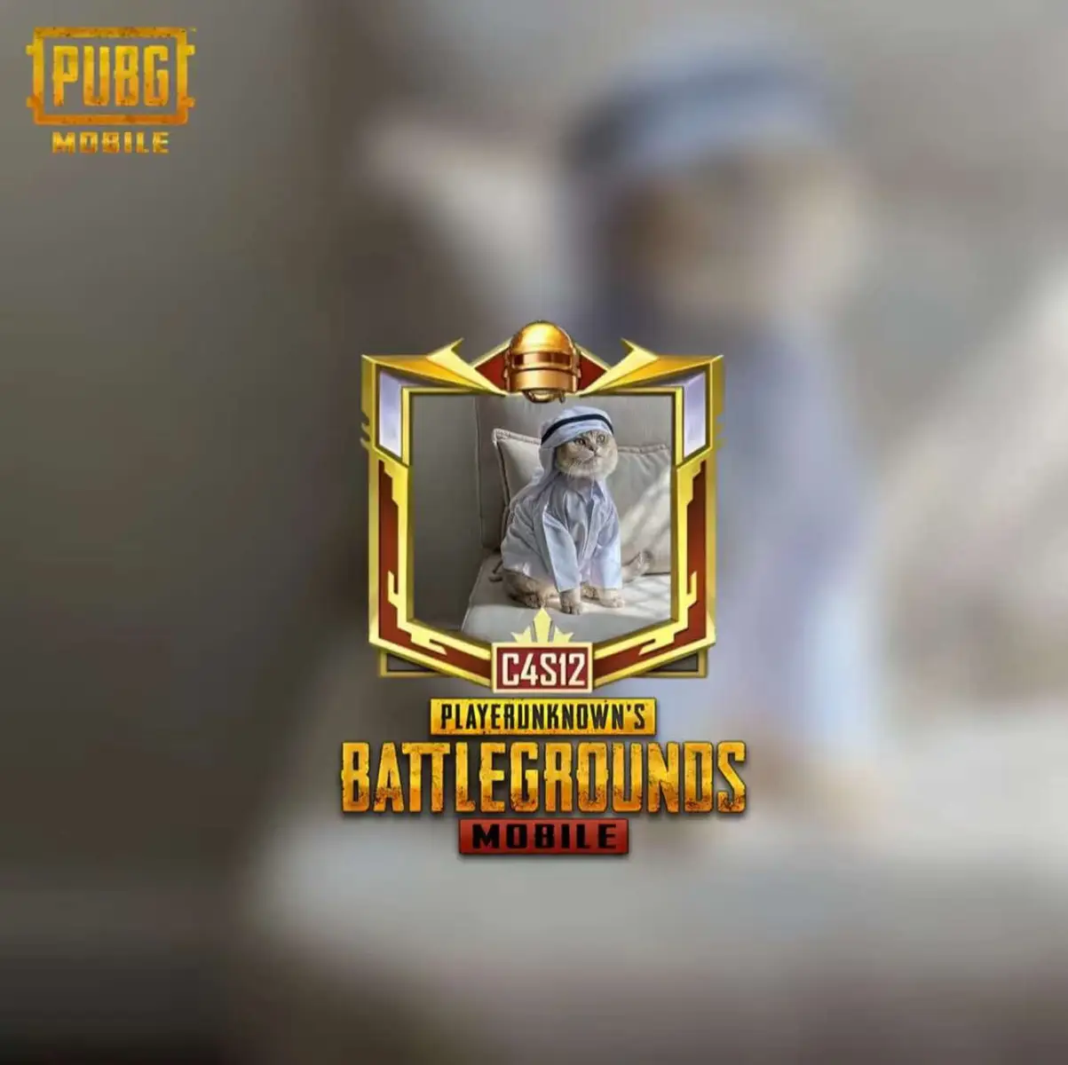 Cool profile #pubgmobile #propubg #filepubg #pubg 