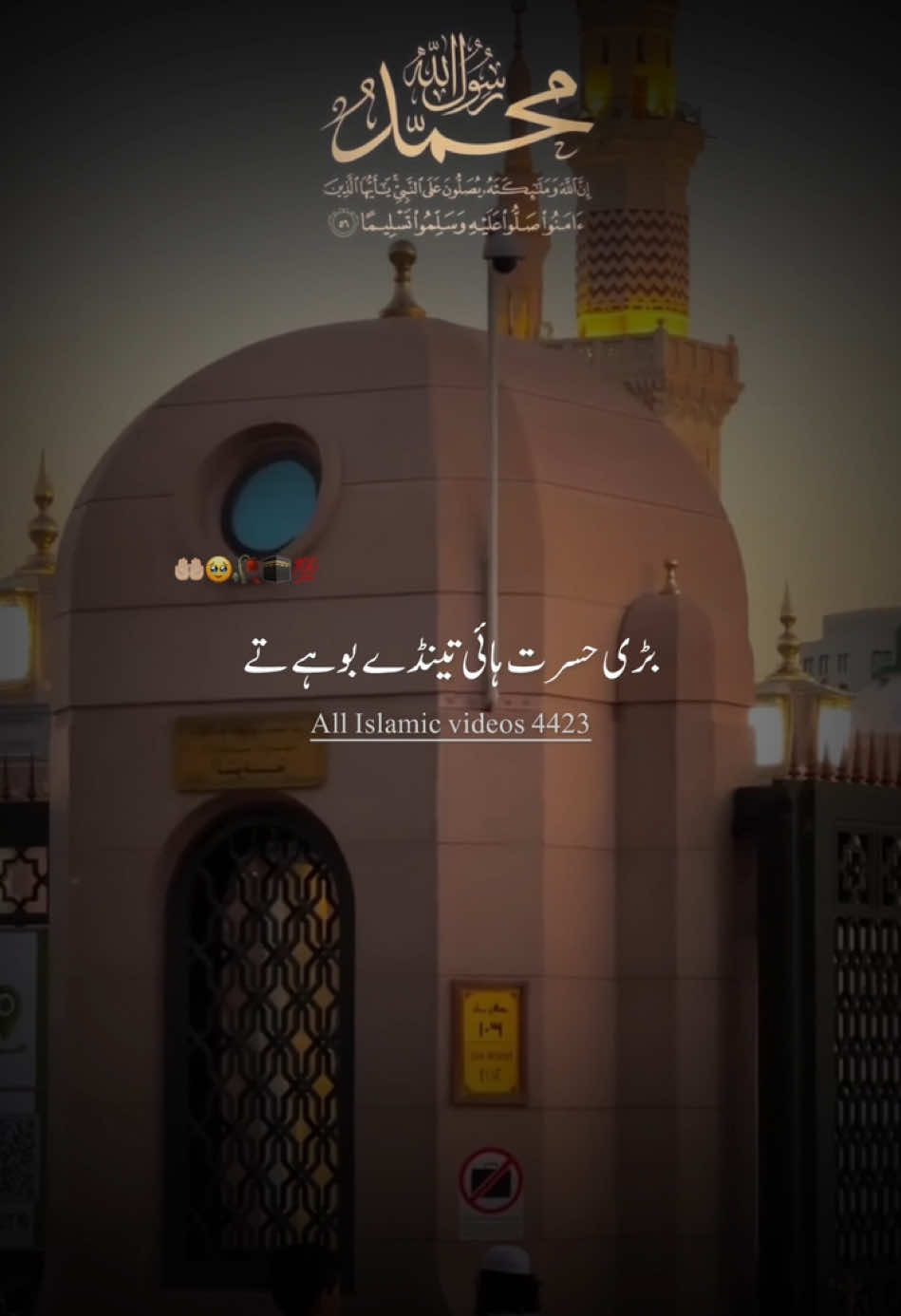 پڑی حسرت ہائی تینڈے بوہے تے🤲🏻💛🕋#naatsharif #islamicvideo #naat #fpyシ #makkaofficial #newvideo #fpyシ #fpyシviral #newvideo #naaterasool 