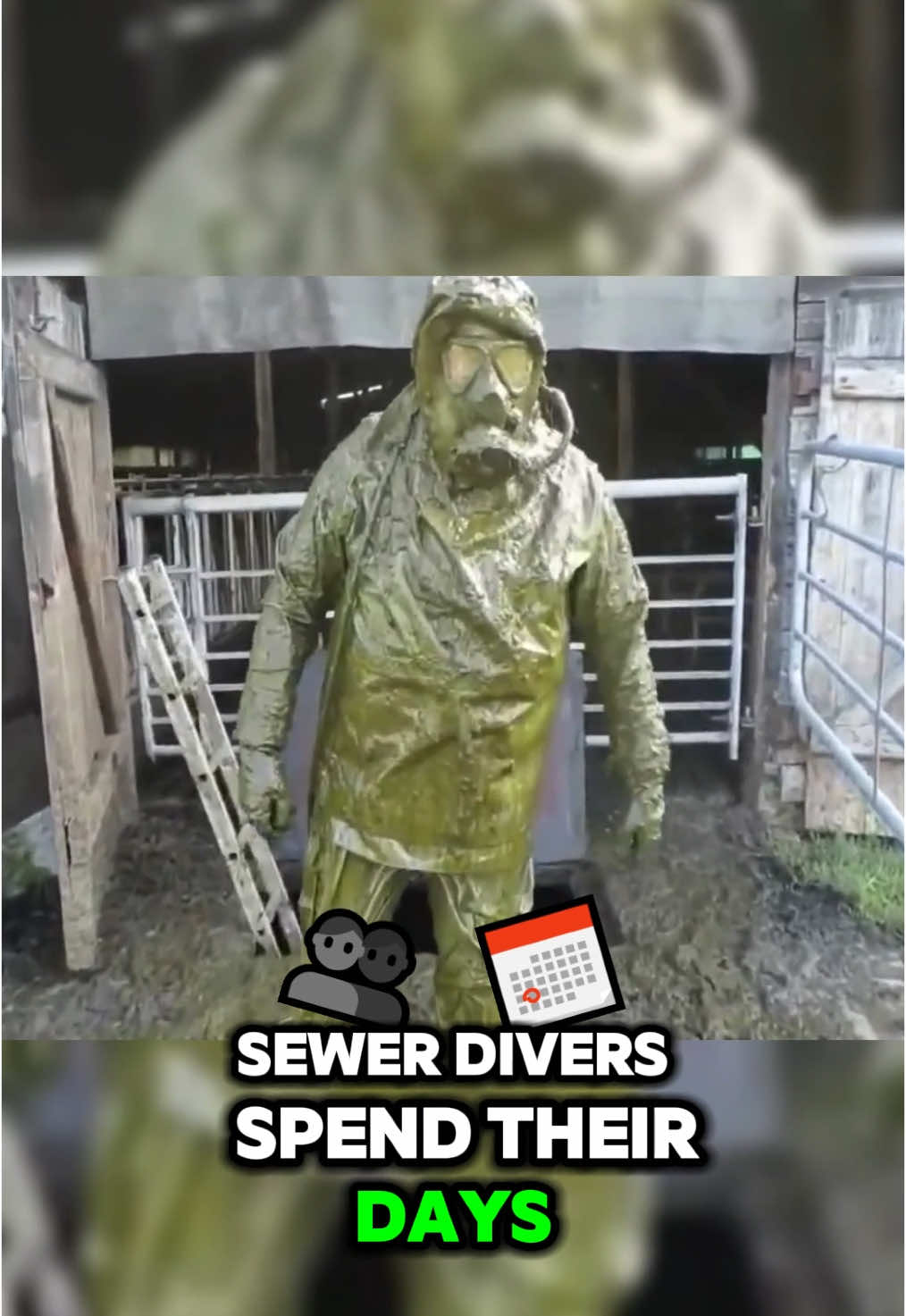 Would You Dive Into Sewer for $1M a Year? 💩🤿 #sewer #dive #job 