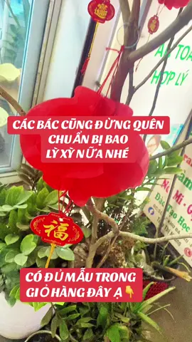 Bao xì đỏ may mắn đầu năm có đủ mẫu trong giỏ hàng mà giá thì siêu dễ thương các bác nhé #xuhuong2025 #sămtet #baolyfxi #chucmungnammoi 