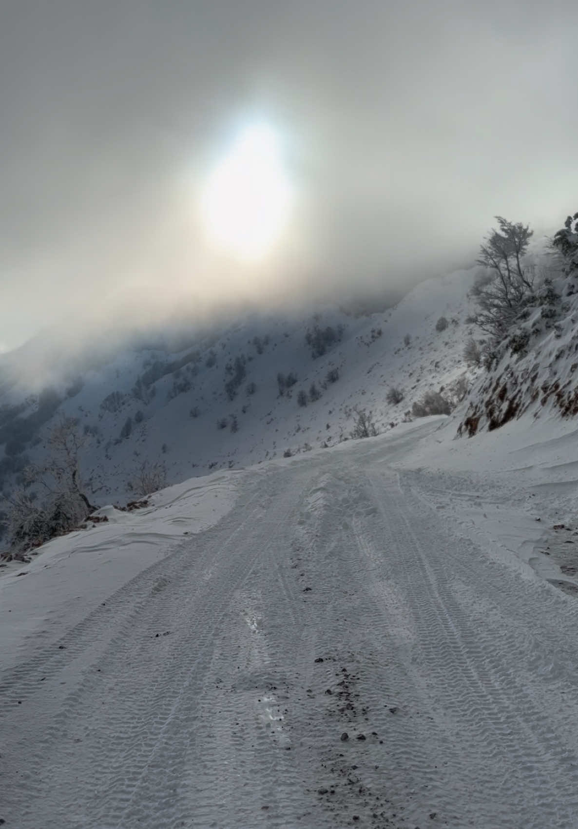 #diber #albania #mountain #fypシ゚viral 