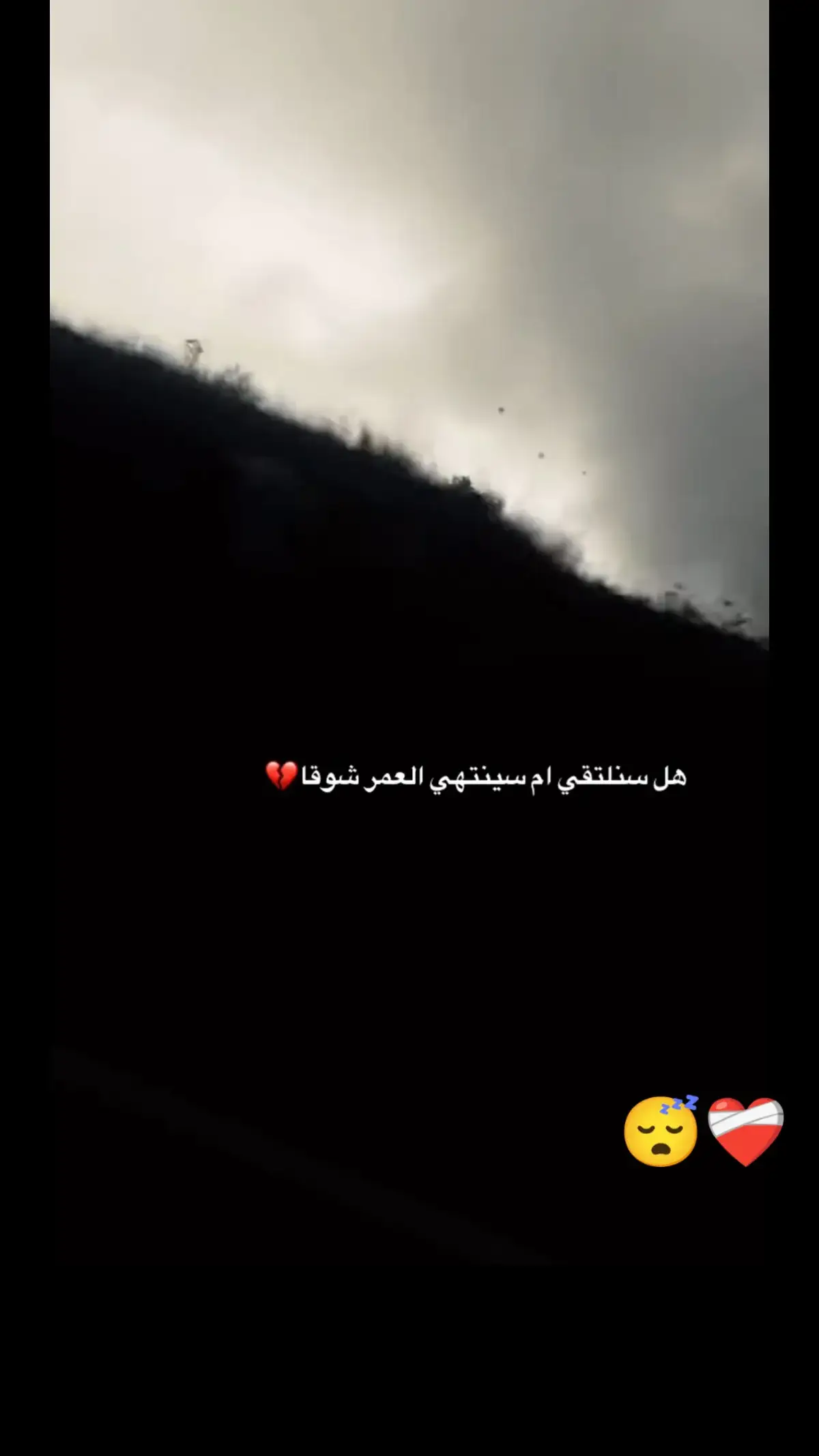 هل سنلتقي مجدداً....💔#وهيج_يعني_🙂🌸 #اقتباسات #مجرد_ذووقツ🖤🎼 #اكسبلور🌚 #🖤🥀 #الشعب_الصيني_ماله_حل😂😂 