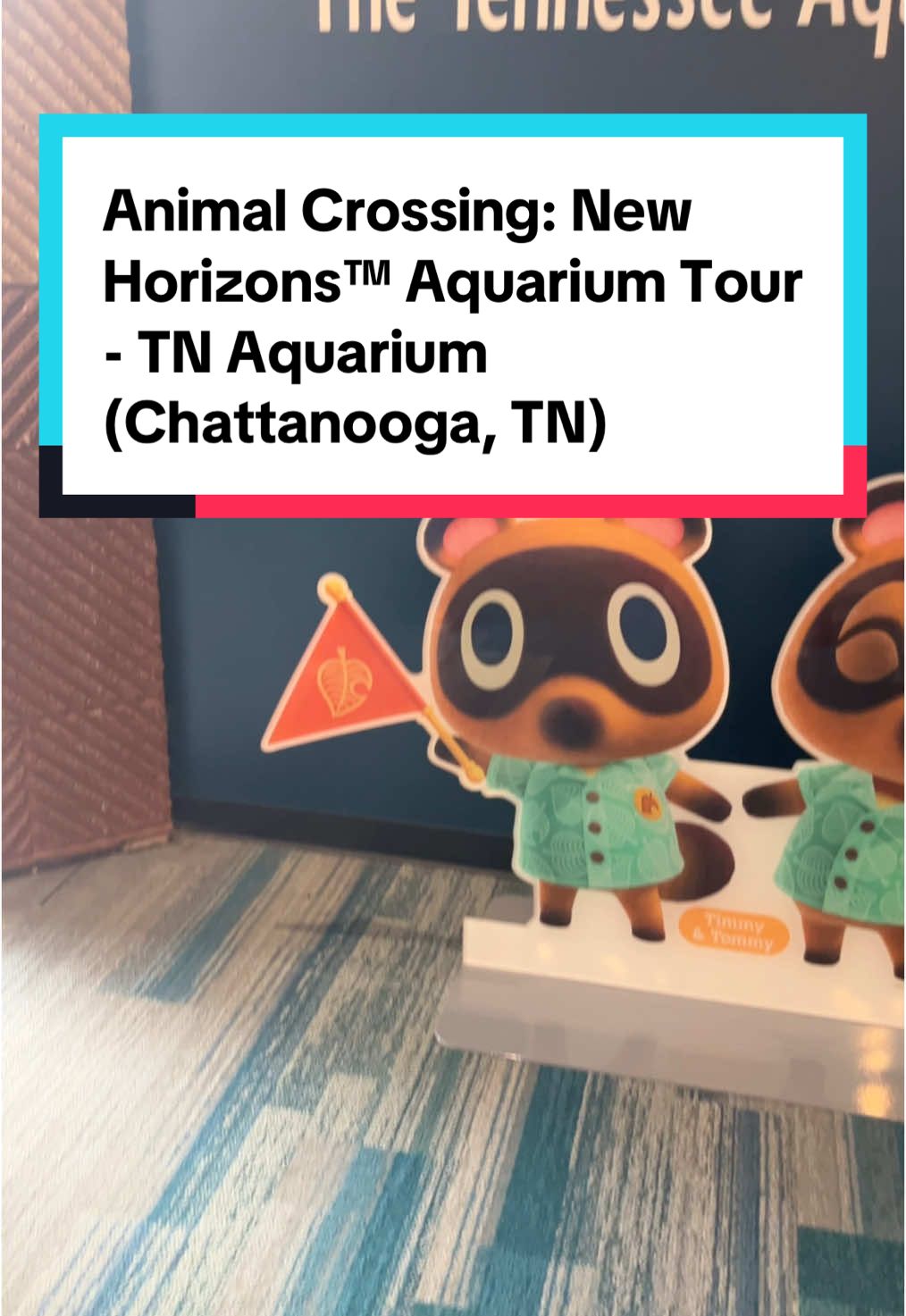 Despite our family largely falling ill over the holidays, we luckily had a day we were all well to stop by the @Tennessee Aquarium to see the Animal Crossing: New Horizons™ Aquarium Tour! If you get a chance check it out as it’ll be in town until Feb. 28th! #tennesseeaquarium #animalcrossingnewhorizons #animalcrossingnewhorizonsaquariumtour #chattanooga #animalcrossing #tennessee #chattanoogatennessee 