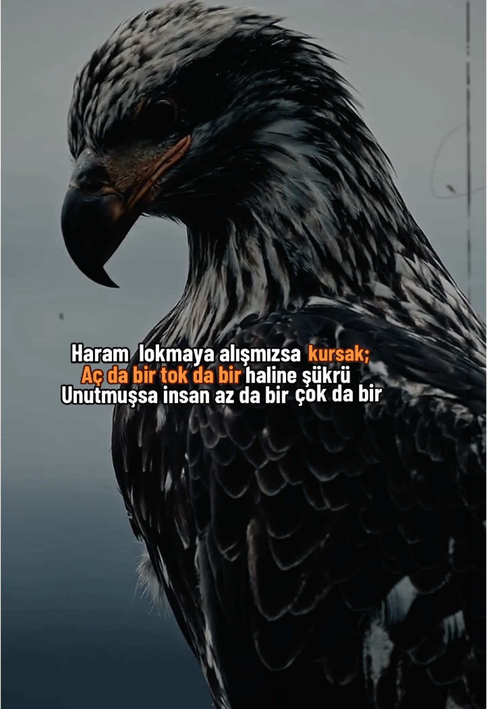 Haram lokmaya alışmışsa kursak aç da bir tok da bir haline Şükrü unutmuşsa insan az da bir çok da bir #kesfet #fyp #fy #şemsitebrizi #elhamdülillah #keşfetteyizzz #öneçıkar #benigör #anlamlısözler #allah #🤲 