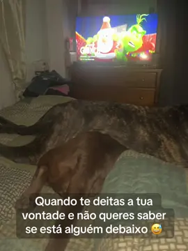 A cara de sofrimento da Nala 😅 #nala #luna #labradorretriever #labrador #canecorso #foryou #fyp #labradorchocolate🐶🥰😍 #labradorlover #dogs #labradorchocolate #fy 