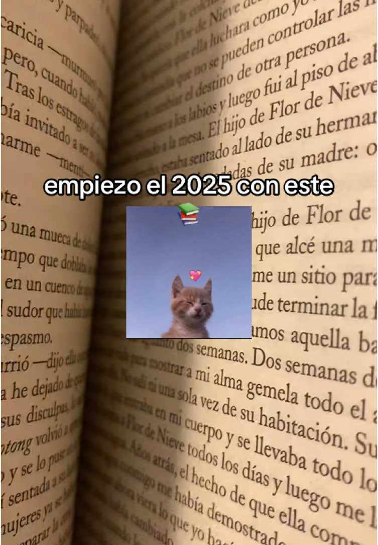 Primero del 2025 📖 #BookTok #booktokespaña #elabanicodeseda #lisasee