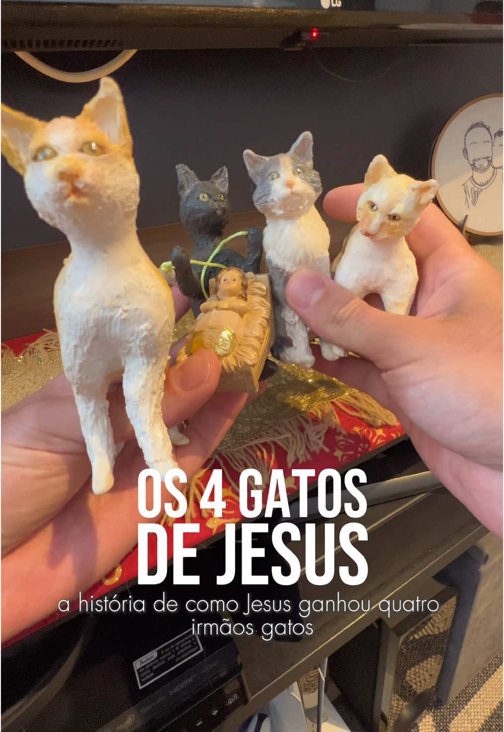 Esse foi o primeiro esquema de gatos. A Gateira Maria sempre foi muito sábia. #gatos 