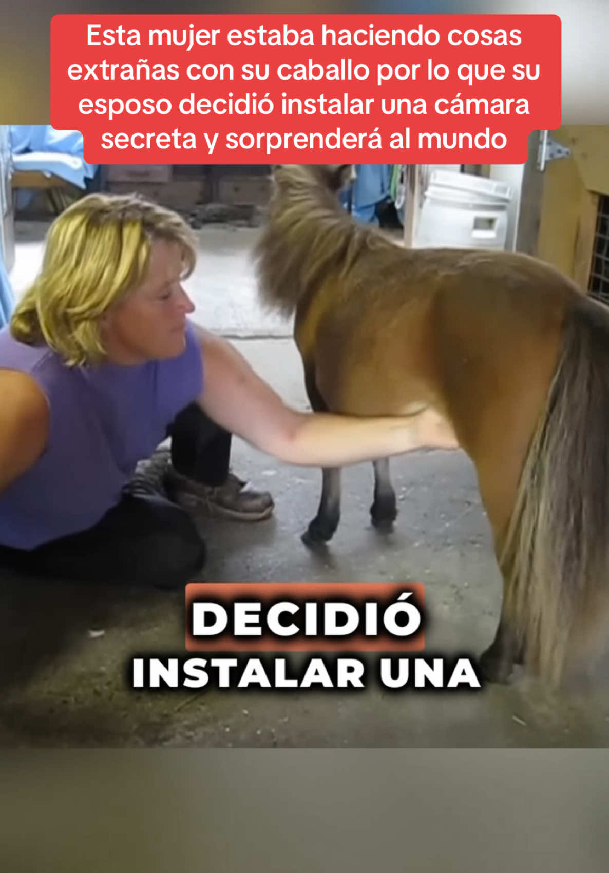 Esta mujer estaba haciendo cosas extrañas con su caballo por lo que su esposo decidió instalar una cámara secreta y sorprenderá al mundo #Sorpresa #sorprendente #historiasimpactantes #misterio 