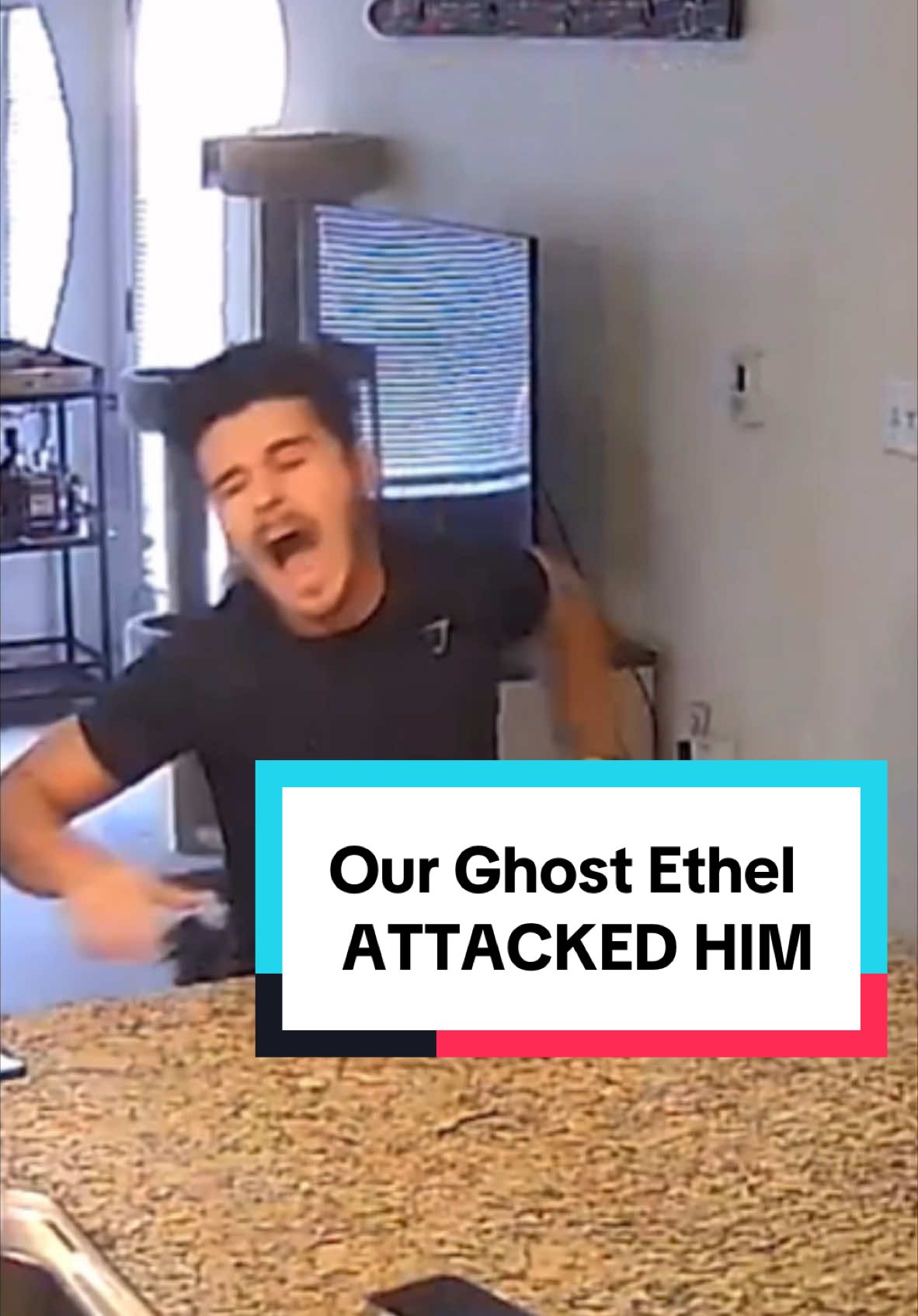 Our ghost #ethel always has my back … #homecamera 👻