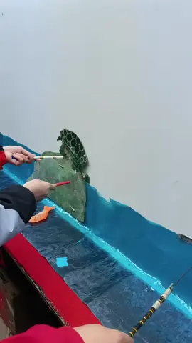 Behind the scenes of a shadow performance