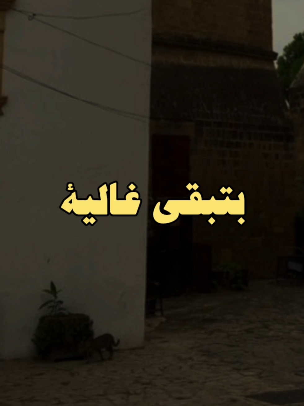 الراجل مننا دموعه غاليه..🥹💔 #الشيخ_كشك #فارس_المنابر #الشيخ_كشك_رحمه_الله #دموع #الرجل #حزين 