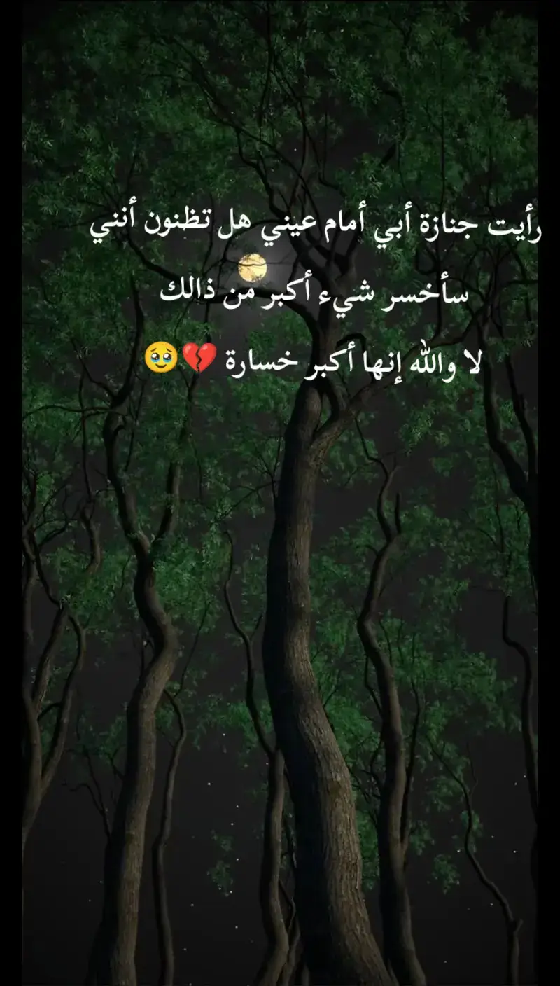 رأيت جنازة أبي أمام عيني هل تظنون أنني سأخسر شيء أكبر من ذالك لا والله إنها أكبر خسارة 💔🥹