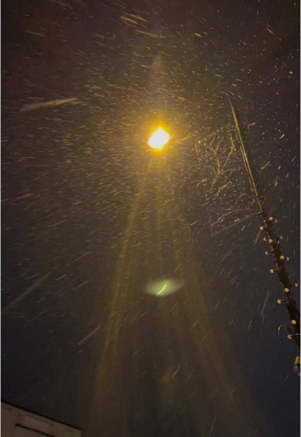 the first snowfall of the year #snow #2025 #snowfall #london #aesthetic #cosy #nostalgia #streetlamp #snowday #pretty #london #snowinlondon #londonlife #winter #january 