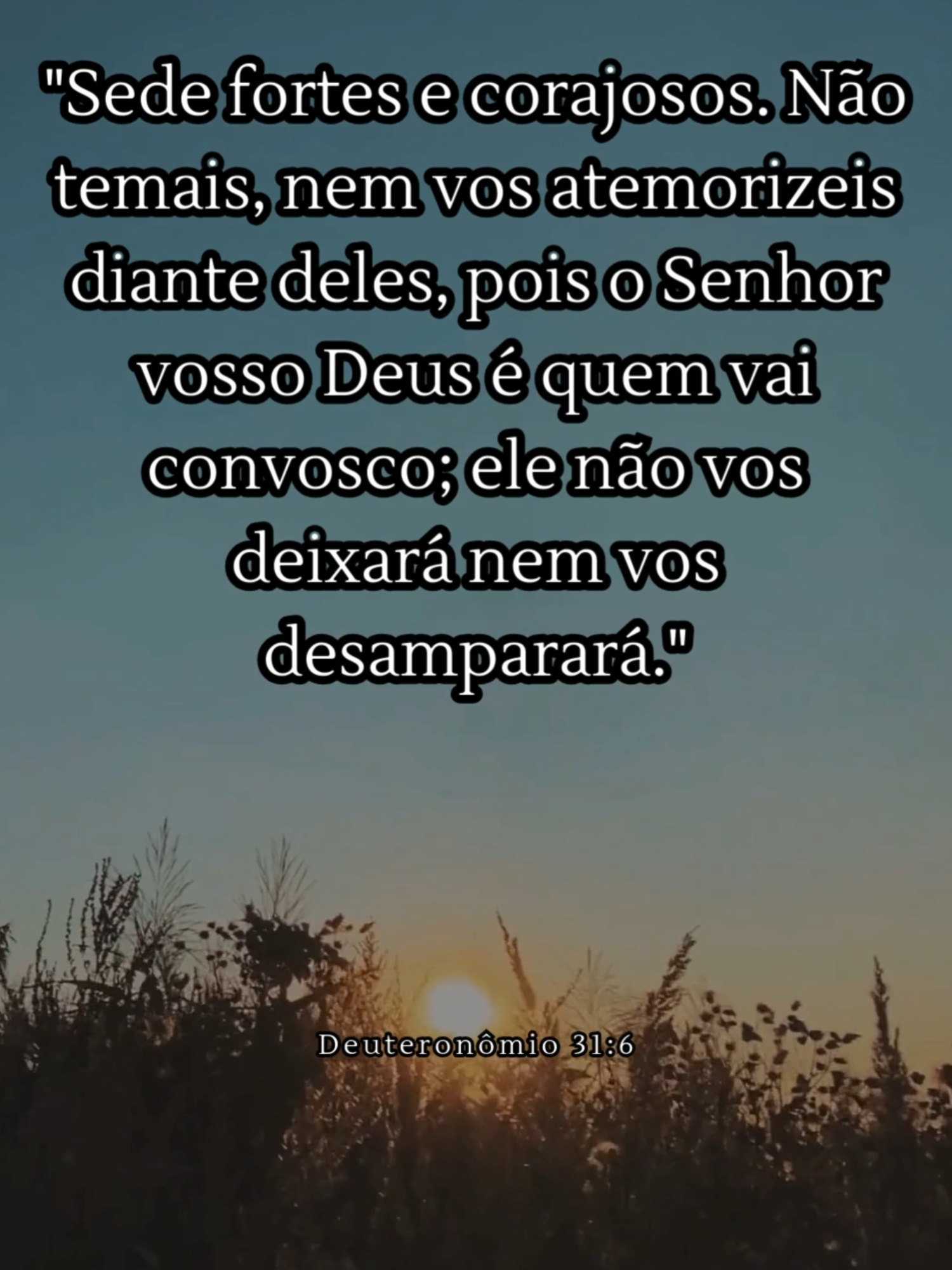 #biblia #devocional #mensagemdodia #cristao #cristaosnotiktok