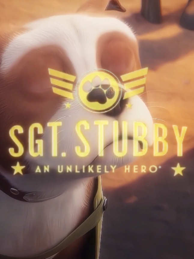 Grande Sargento Stubby🫡 #edit #foryoupag #stubbythedogsoldier 