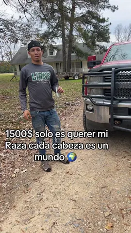 Roofing y más 