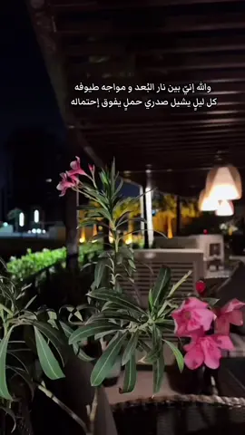 كأنني موجٌ يلاطم نفسه ‏البحر صدري و الفؤاد غريق#خواطر#ستوريات#اكسبلورexplore 