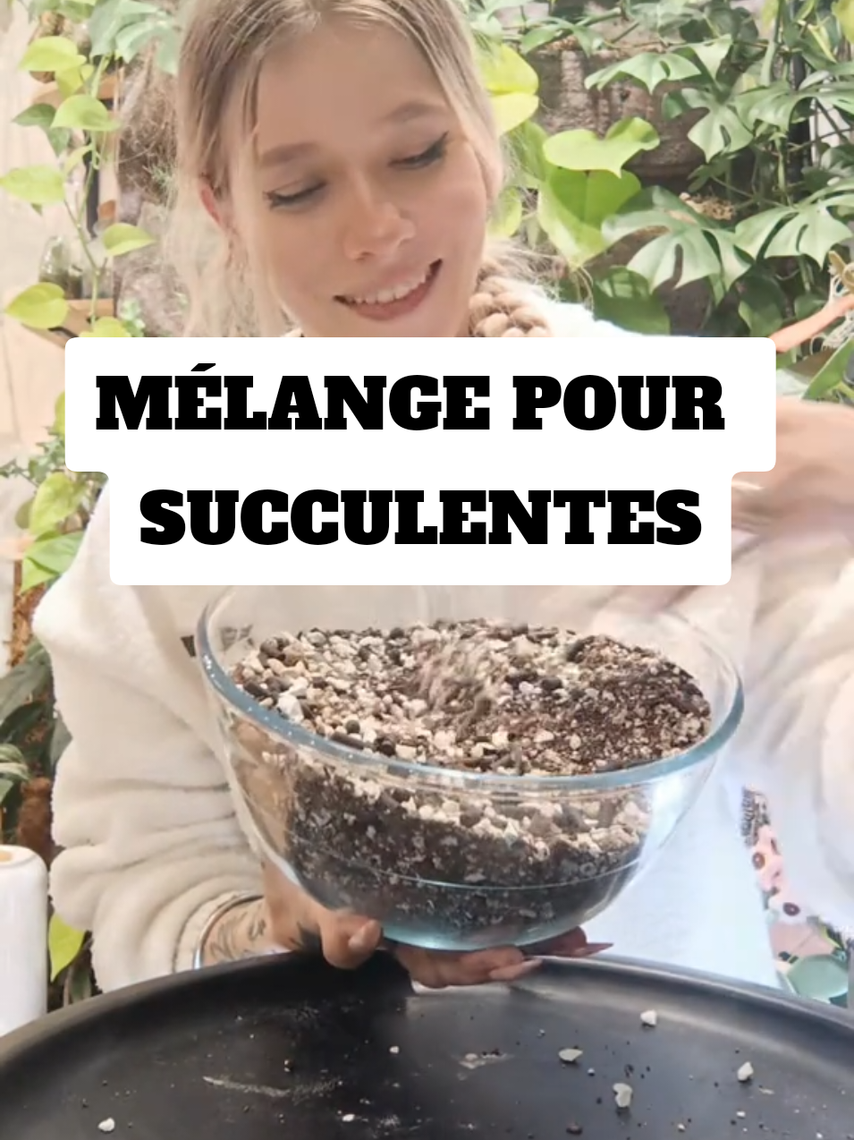 le mélange parfait pour TOUTES les succulentes 💚🫶  #foryou #pourtoi #plante #DIY  #plant #plantsoftiktok #succulents #decoration #tuto 