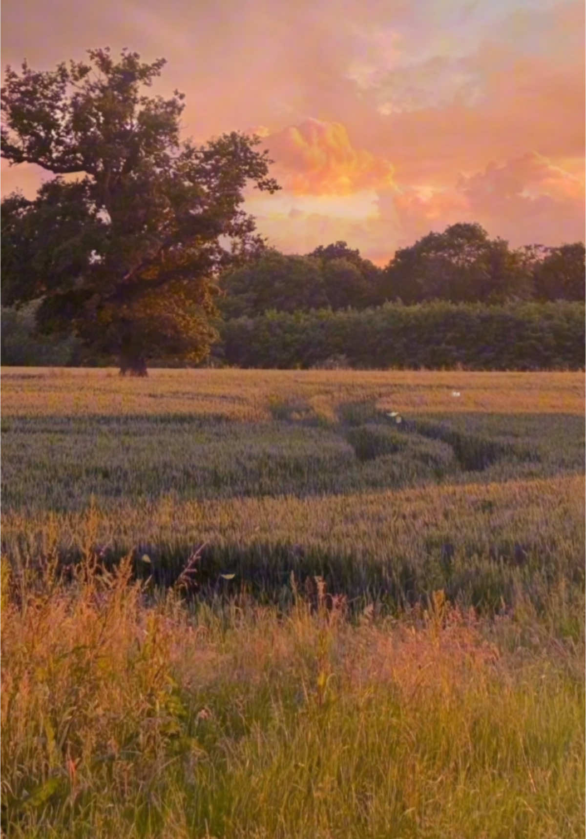 A warm evening walk <3 