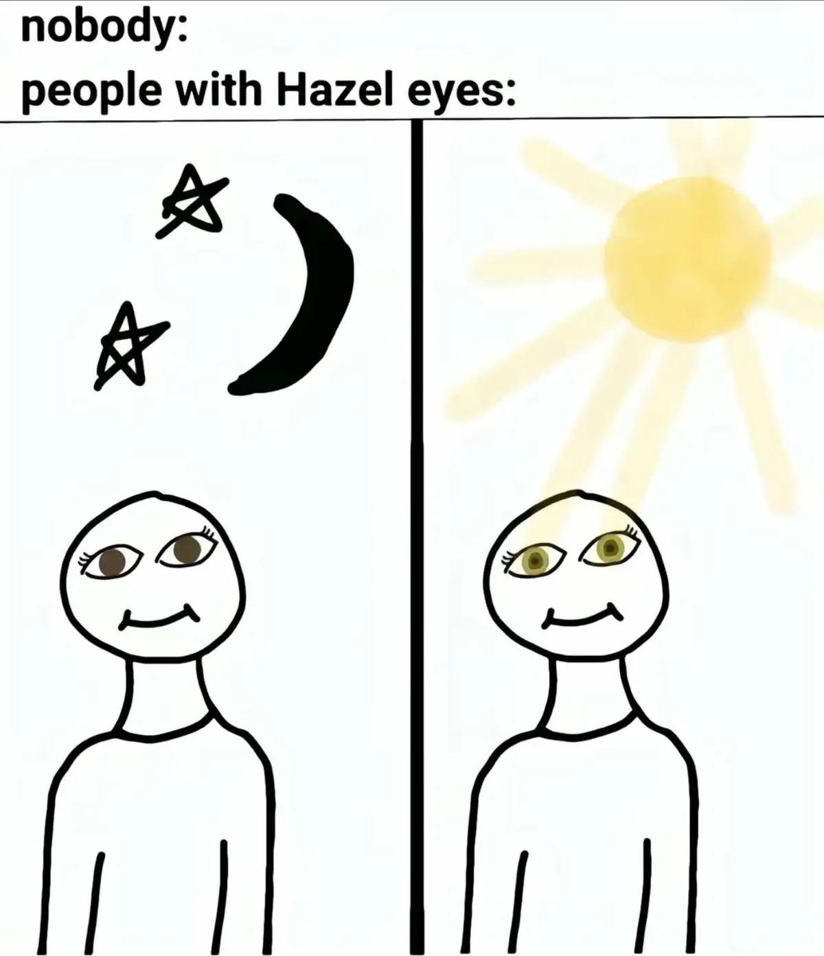 here’s a paragraph i made my ai write abt hazel eyes: Hazel eyes are a unique and captivating eye color that combines shades of brown and green, often with specks or rings of gold or amber. They are known for their ability to appear to change color based on the lighting, clothing, and even the person's mood. This chameleon-like quality makes hazel eyes particularly intriguing. Hazel eyes are less common than brown eyes but more prevalent than green or blue eyes, adding to their distinctiveness. The genetics behind hazel eyes are complex, involving multiple genes that influence the amount and distribution of melanin in the iris. This melanin variation results in the multi-colored appearance typical of hazel eyes. Interestingly, hazel eyes are more common in people of European descent but can be found in individuals from various ethnic backgrounds. The interplay of genetic factors means that hazel eyes can vary widely from person to person, with some appearing more green or brown depending on the specific melanin distribution. This diversity makes hazel eyes a truly unique and beautiful feature.