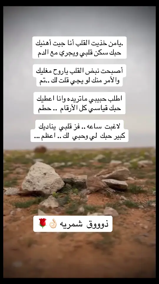 #explore #اكسبلور