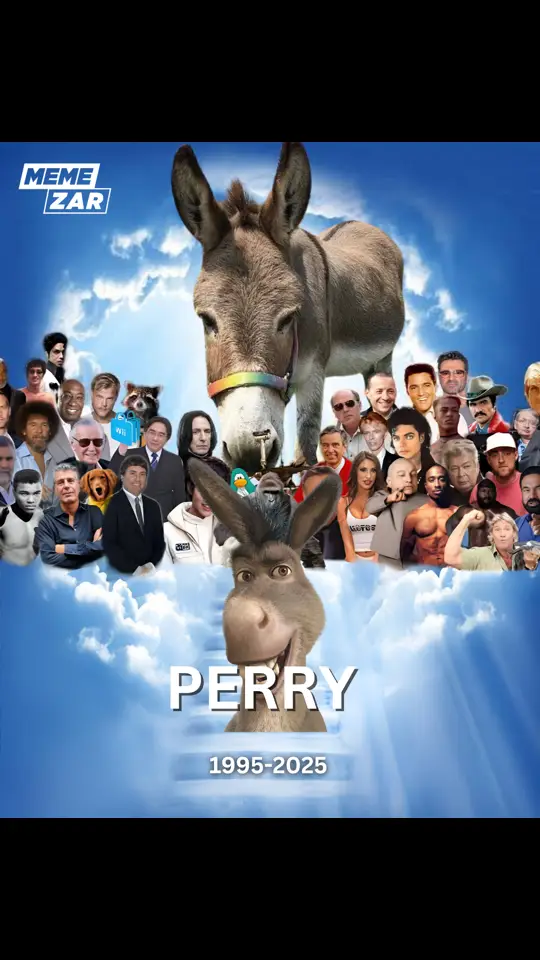 Perry, the donkey who inspired Eddie Murphy’s character in the original Shrek film released in 2001, has passed away at the age of 30. According to the Barron Park website, donkeys in the wild typically live 25 to 30 years, but with human care, they can sometimes reach their 40s. RIP Perry 💔🕊️