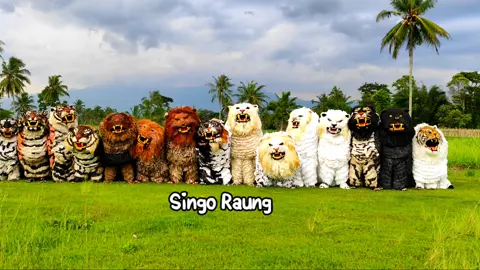 singo raung #semuaorang #tiktokviral #bondowoso #canmacanan 