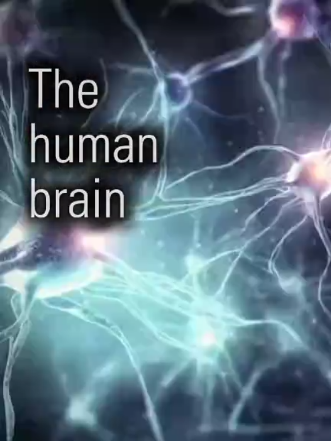 The human brain is a marvel of biology, often regarded as the most intricate and sophisticated structure in existence. #brain #organ #humanbody #biology #mind #fyp #fypp 