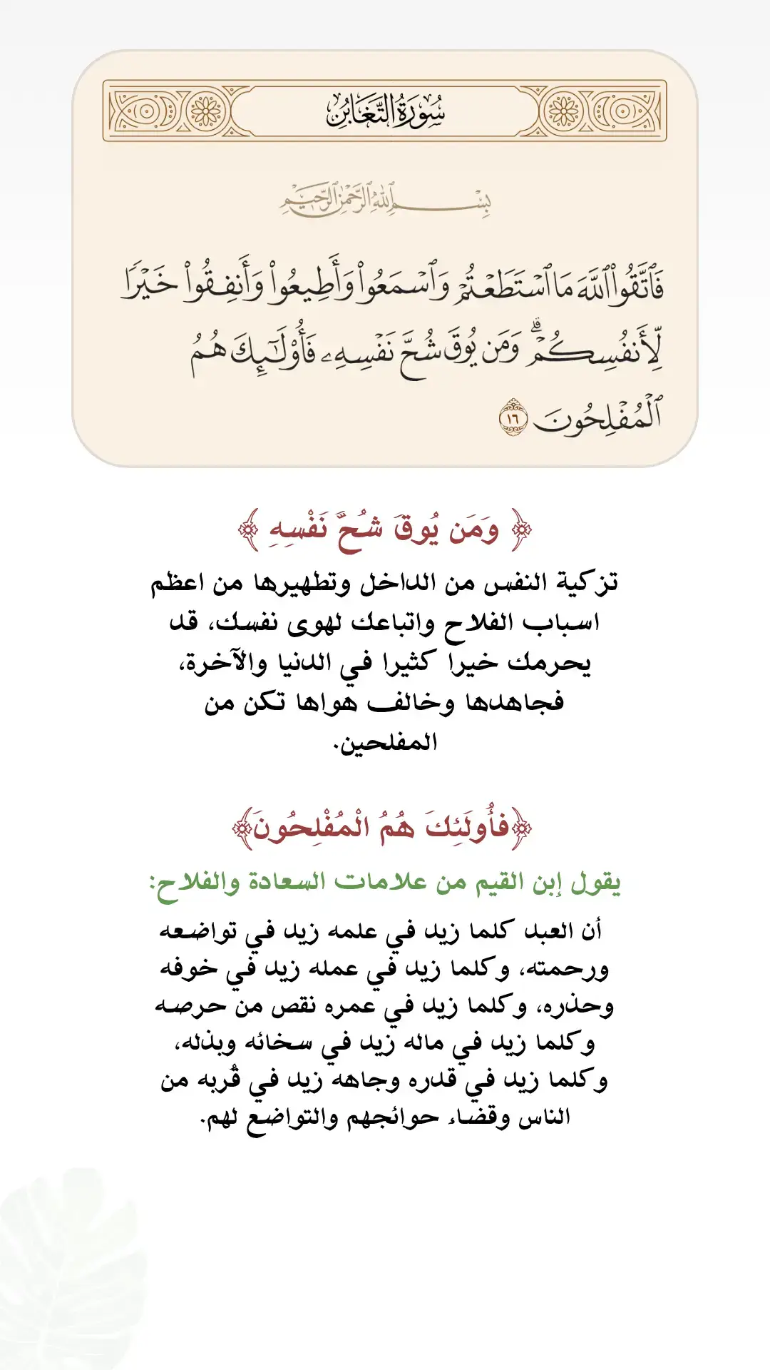 #تدبر_آية #قرآن #تدبرات #تدبر_القران #quran #سورة_التغابن 