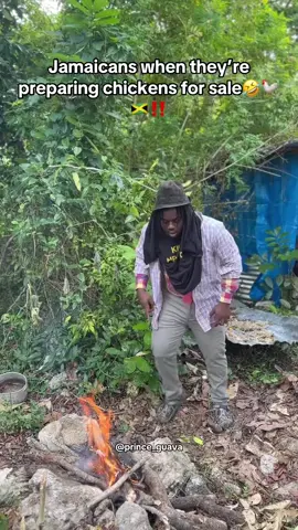 Magnus prepares chicken for sale🤣🐓‼️ #princeguava #comedy #magnus #chickens 