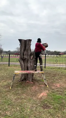 An angel I carved from a dead cedar tree in a cemetery #artist #art #foryourpage #fyp #foryou #cute #titok #chainsaw #woodart #statue #stihlchainsaw #stihl #artist #wood #arttok #angel #cemetery #angels #cedar #texas #carve #carver 