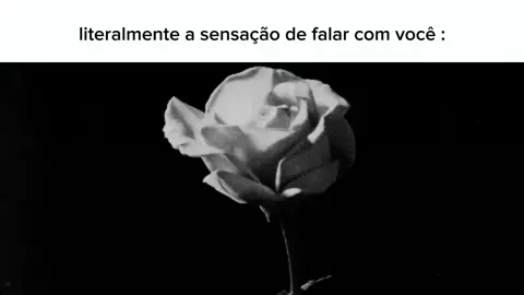 amo conversar com ela                        #fyy #fyp #viralizar @𝐄 . ( 𝐦in ! ) 