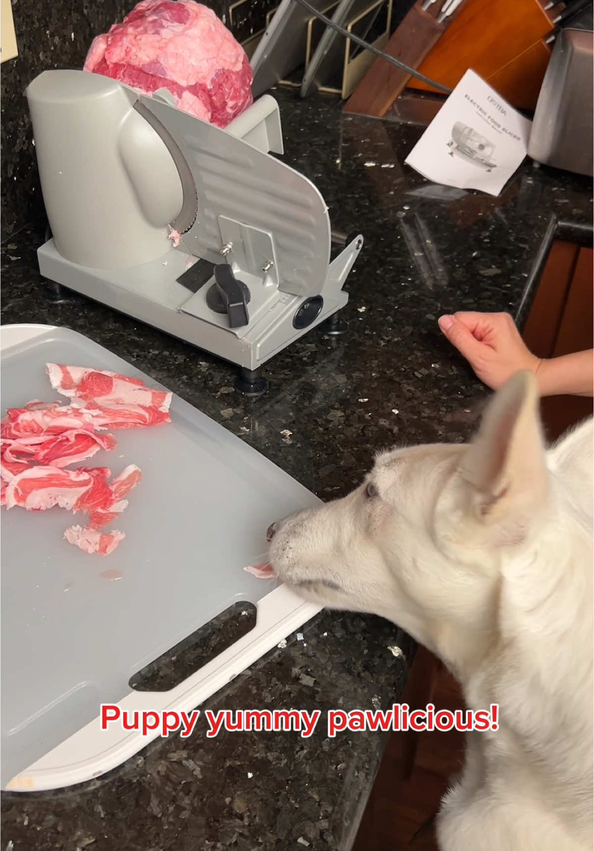 Love this affordable electric meat slicer! #tiktokshop #tiktokmademebuyit #creatorsearchinsights #spotlightfinds #treasurefinds #cooking #CookingHacks #dogmeal #dogmealprep #tiktokhomefinds 
