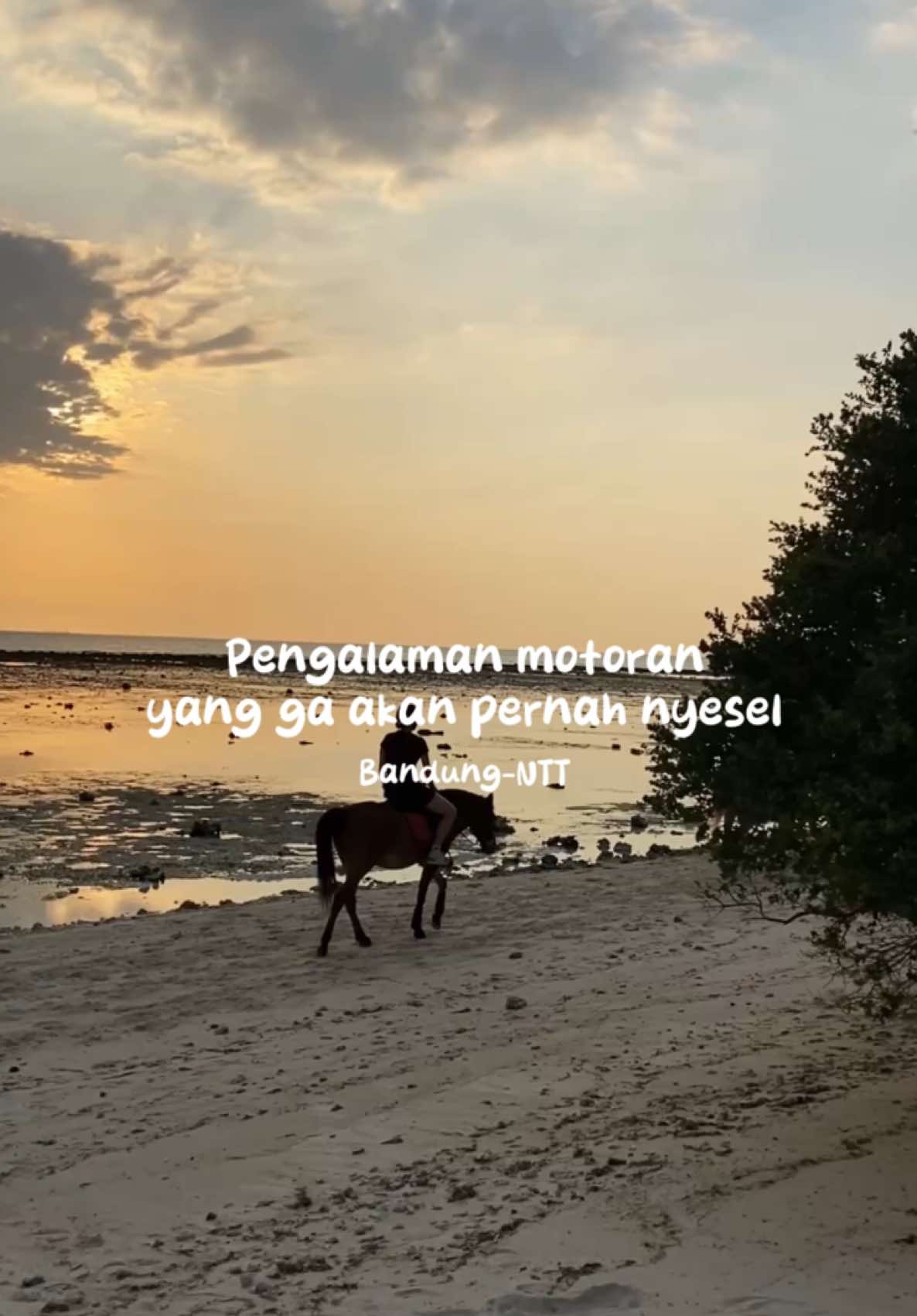 Membalas @Tomank 21 jangan bosen dulu karena masih keseruan motoran 5.400 KM, di gili trawangan kita kemana nih enaknya? #fyp #ntt 