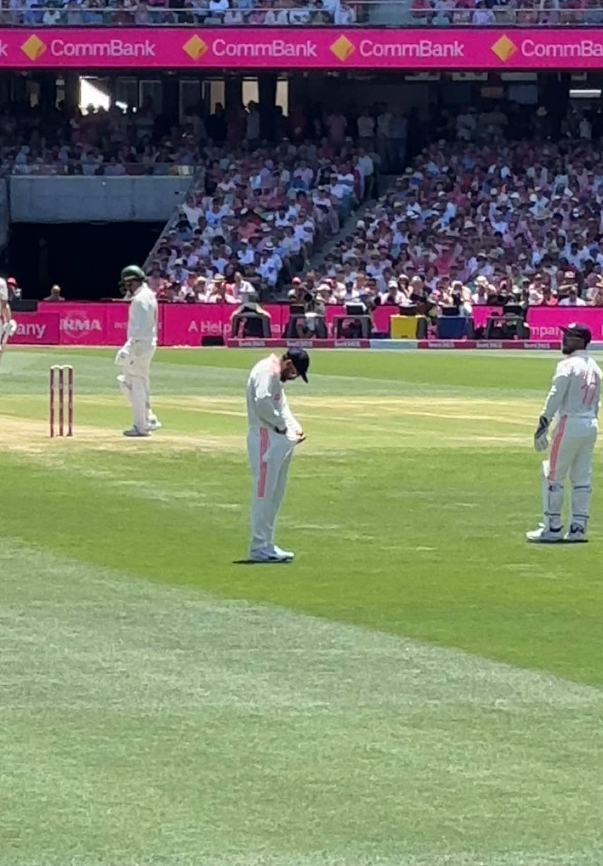 Pink test #ausvsind #viratkohli #sydney #australia #australia 