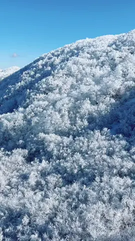 Lovely to see the trees covered in snow! 😍☃️🇰🇷❄️ 📍덕유산국립공원 (Deokgyusan National Park)  #seoul #korea #travel #traveltiktok #여행 #서울 #wonderland #겨울 #fypシ゚ #fyp #trending #2025 #winter #viral #snow #firstsnow #첫눈 #덕유산 