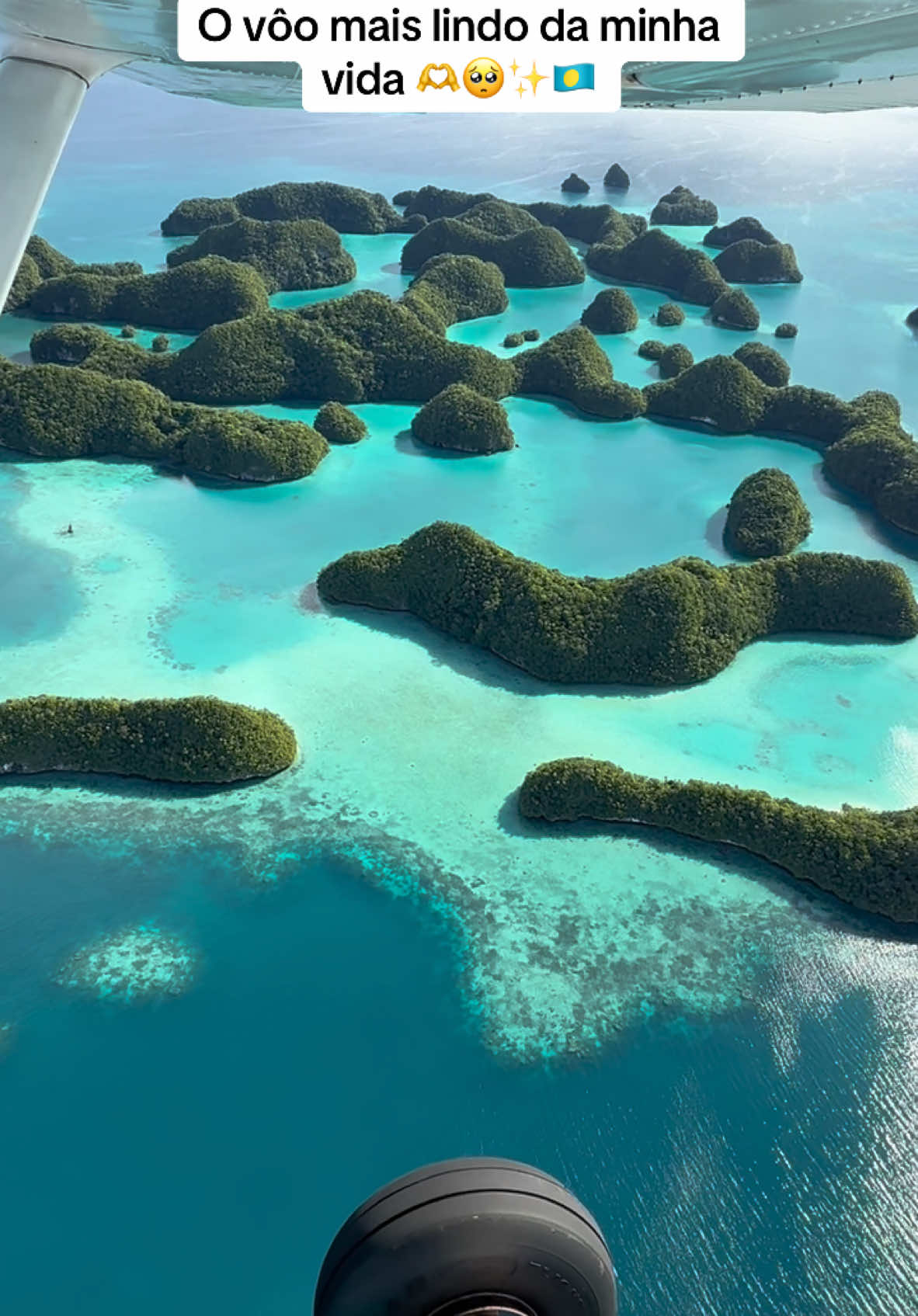 Inacreditável- parece IA #palau #pacific #speechless #unbelievable