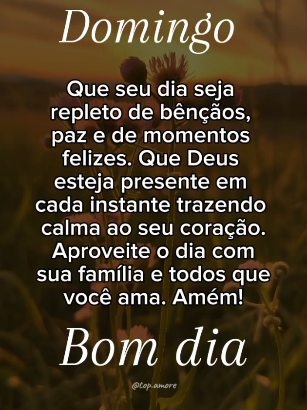 Abençoado dia pra você 🙌  . . . . . . . . . #bomdia #domingo #gratidão #mensagemparastatus #mensagemdebomdia #status #bomdiaaaaa #bomdiaabençoado 